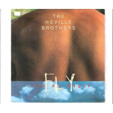 NEVILLE BROTHERS - Fly like an eagle